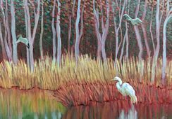Moment in the Marsh